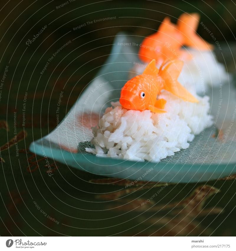 Sushi, mal anders Lebensmittel Fisch Ernährung Fingerfood Freizeit & Hobby Tier 2 weiß Orange Teller Japan Reis Foodfotografie Glas Asien Farbfoto Innenaufnahme