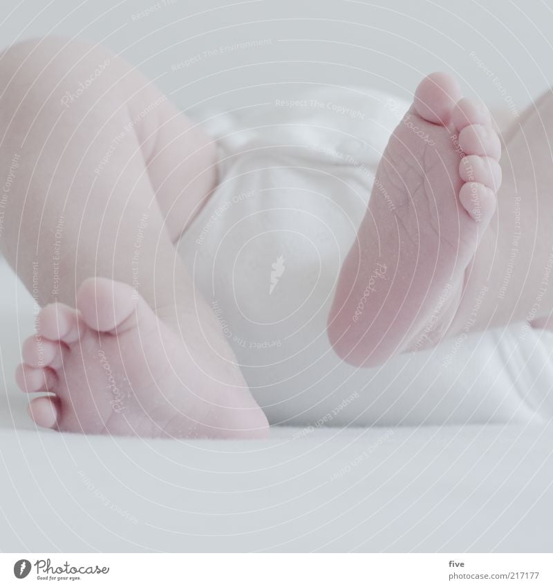 neue welt / teil 5 Bett Mensch Baby Kleinkind Kindheit Beine Fuß Zehen 1 0-12 Monate liegen Wachstum weiß Gefühle Zufriedenheit Farbfoto Innenaufnahme Tag