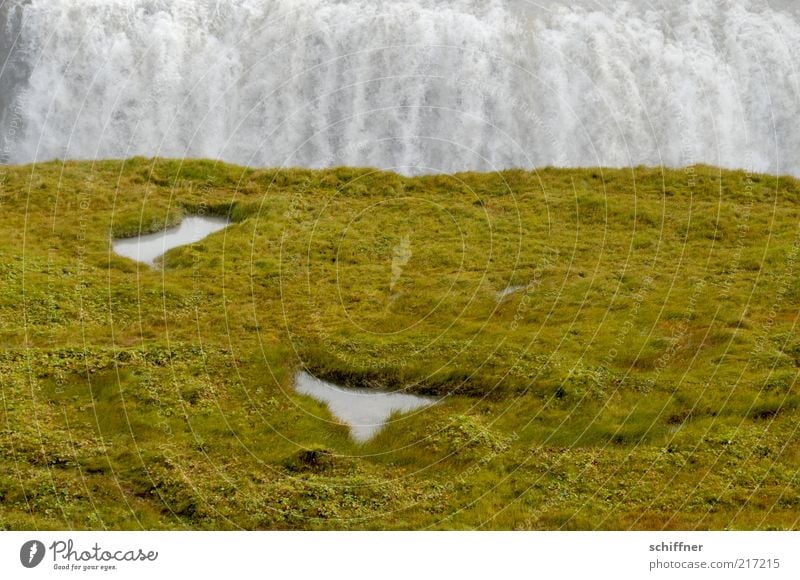 Anlauf und ein Köpper rein... Gras Moos Wiese Schlucht Wasserfall Gullfoss Island Pfütze laut fließen zweiteilig Außenaufnahme Farbfoto Menschenleer gewaltig