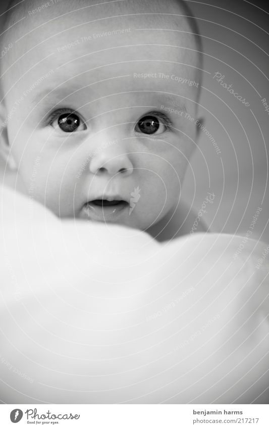 Hallo Welt! Kind Mensch Baby 1 0-12 Monate entdecken glänzend weich Zufriedenheit Geborgenheit Warmherzigkeit schön niedlich Schwarzweißfoto Innenaufnahme