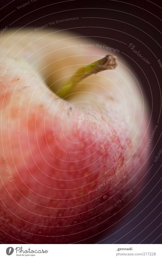 Apfel Lebensmittel Frucht Ernährung Bioprodukte Vegetarische Ernährung ästhetisch authentisch Duft frisch Gesundheit gut positiv saftig schön rot lecker