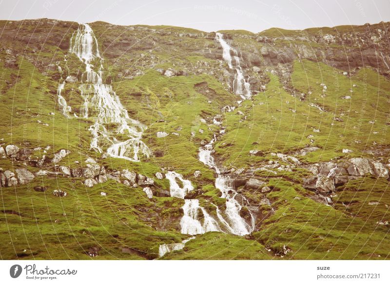 Irgendein fosschen Berge u. Gebirge Wasser Klima Wetter Hügel Felsen Wasserfall authentisch kalt wild grün Føroyar fließen Berghang Farbfoto Gedeckte Farben