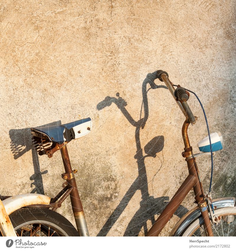 Schattenrost Mauer Wand Fahrzeug Fahrrad alt ästhetisch außergewöhnlich retro trashig trist braun Minirad Rost Patina Verfall Vergänglichkeit Schattenspiel