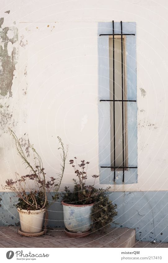 Straßenrand. ästhetisch Gasse mediterran Algarve Fenster Fassade Blumentopf blau weiß Hinterhof Wand Lagos Gleichgültigkeit unbeachtet Balkon Balkonpflanze