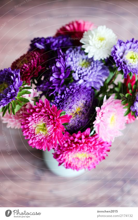 Herbststrauß Astern Blume Natur Vase Blumenstrauß Blüte pflücken rosa weiß gelb grün violett Geschenk schenken