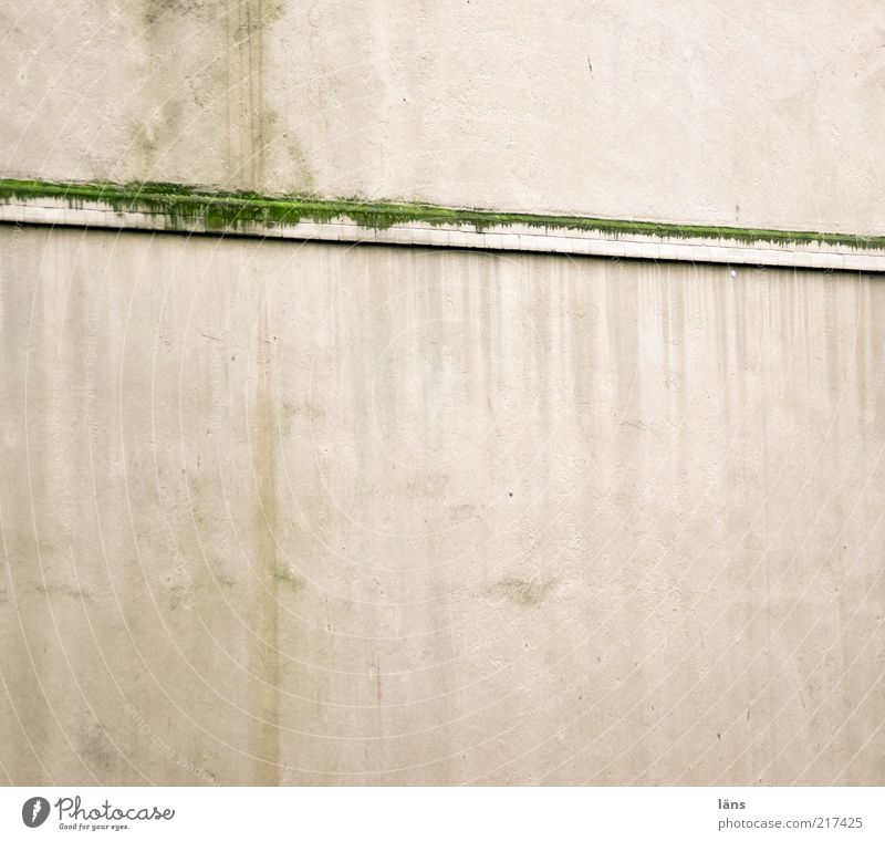 [HH10.1] - Biotop Moos Haus Mauer Wand Fassade Sims alt dreckig Farbe Wandel & Veränderung verputzt Putz Spuren Schimmelpilze grün Anstrich Sediment Wasserfleck