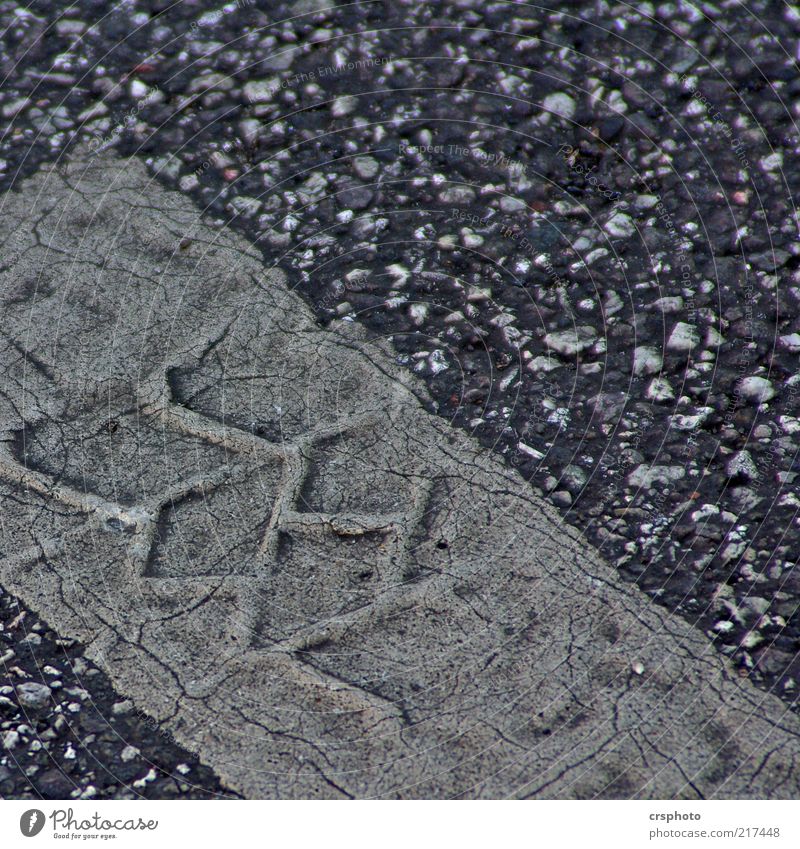 Eindrücklich Menschenleer Straße alt dreckig grau Reifenspuren Reifenprofil Asphalt Kieselsteine Abdruck Riss Farbfoto Außenaufnahme Tag Detailaufnahme