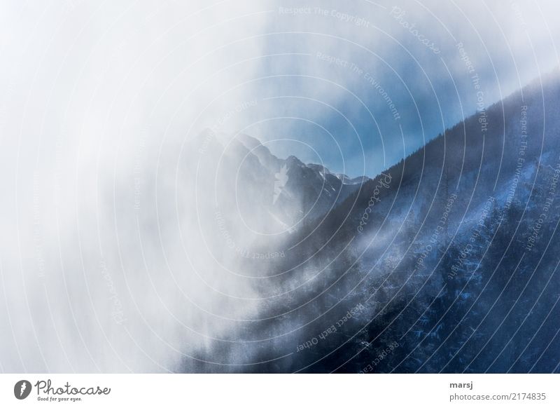 Lichtblicke harmonisch Erholung ruhig Meditation Natur Herbst Winter Nebel Schneefall Alpen Berge u. Gebirge Gipfel außergewöhnlich blau Erfolg Kraft Mut