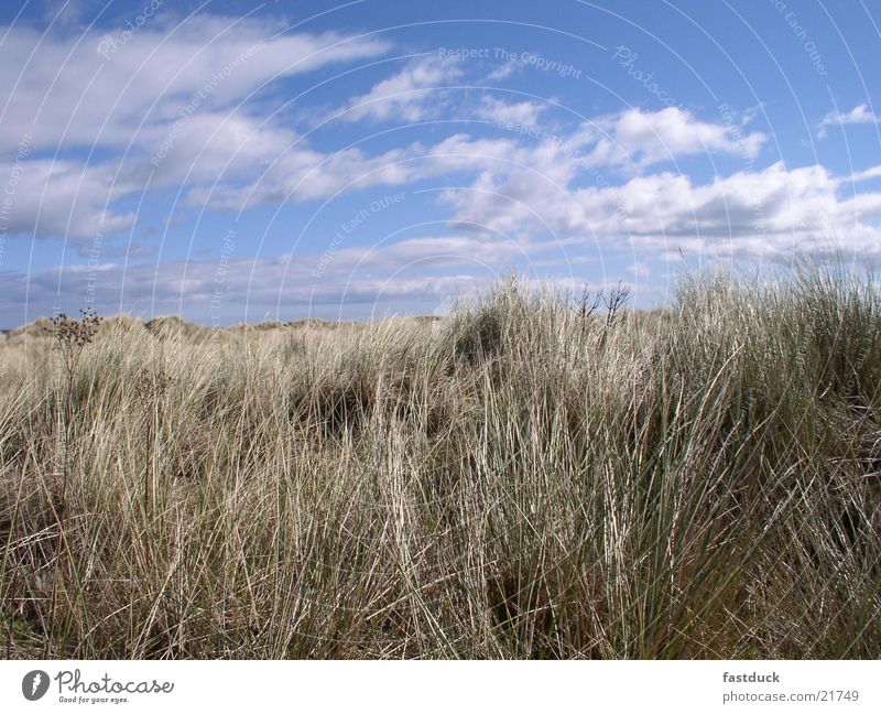 best of scotish beach weather Schottland Großbritannien Strand Wolken Gras blau Himmel