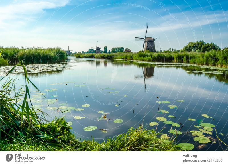 Traditionelle niederländische Windmühle Ferien & Urlaub & Reisen Tourismus Landschaft Park Fluss Gebäude Architektur grün Alkmaar Europa Niederlande Kanal