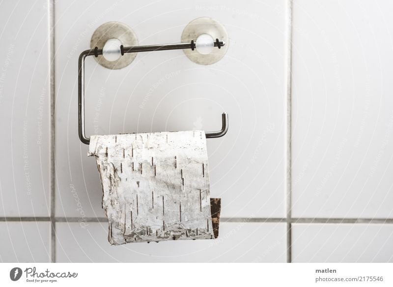 Bio Menschenleer Mauer Wand Toilettenpapier hängen türkis weiß Klopapierhalter Saugnapf Fliesen u. Kacheln Birkenrinde Bioprodukte Innenaufnahme Nahaufnahme