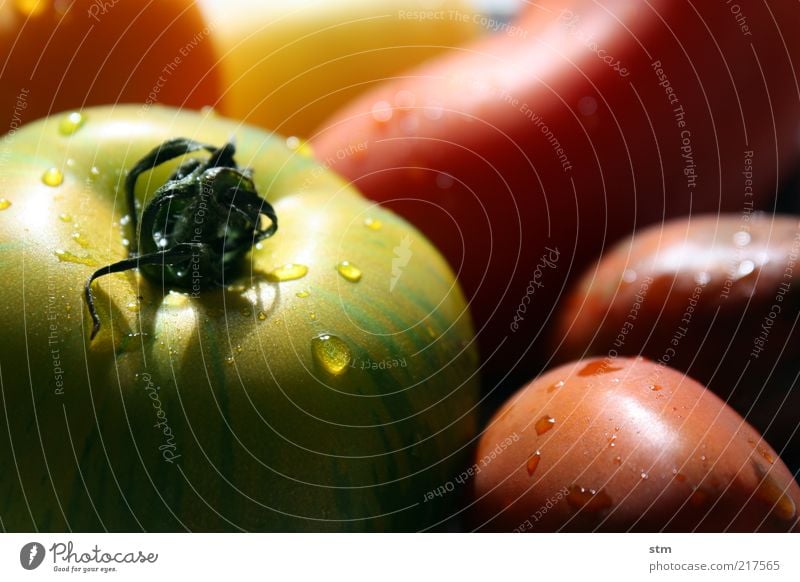 vitamine Lebensmittel Gemüse Tomate Ernährung Bioprodukte Vegetarische Ernährung Diät Slowfood Asiatische Küche schön Gesundheit Natur rot ästhetisch