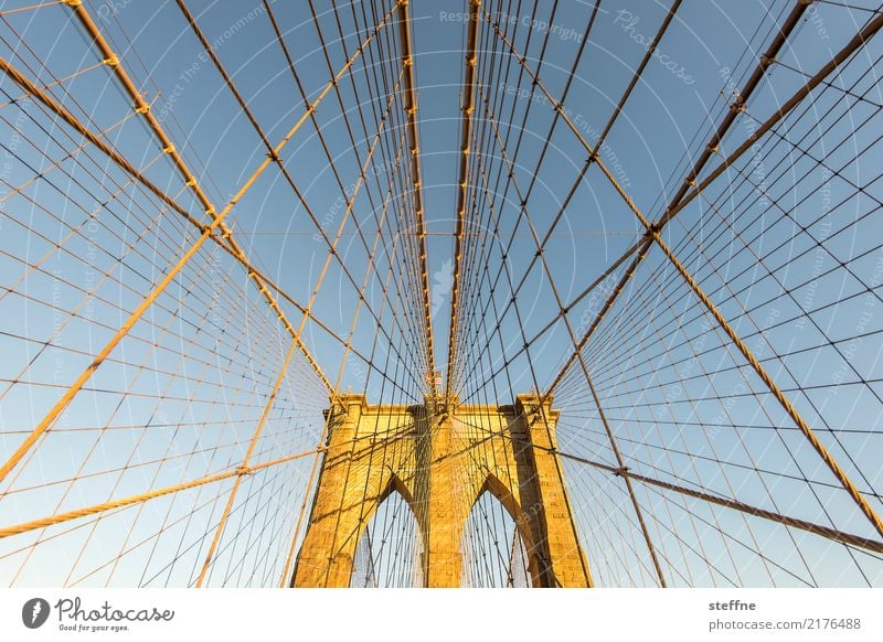 Brooklyn Crawler New York City Brooklyn Bridge Manhattan USA Stadt Brücke Bauwerk Sehenswürdigkeit Wahrzeichen Bekanntheit Netz Spinnennetz spider man Seil
