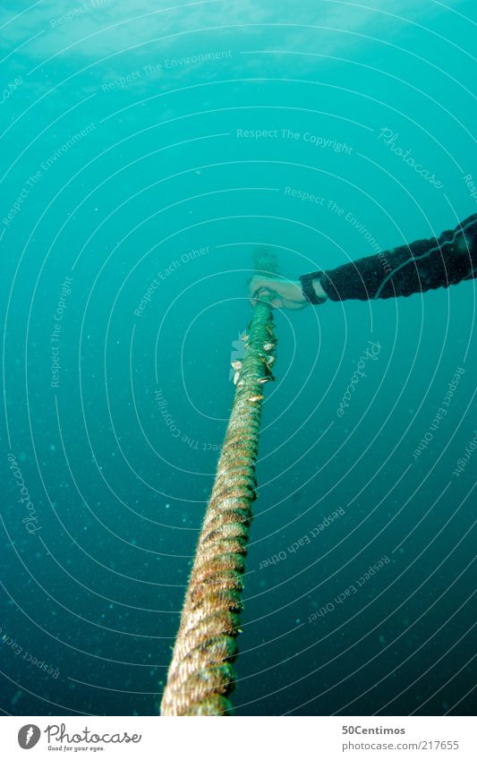 Tiefseetaucher - Mit dem Seil in die Tiefe des Meeres Arme 1 Mensch Natur Wasser atmen berühren tauchen warten bedrohlich kalt nass grün Stimmung Tapferkeit