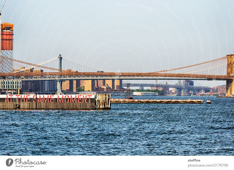 Brückentag: Brooklyn und Manhattan Stadt New York City Brooklyn Bridge Manhattan Bridge Staten Island Ferry Terminal Fähre East River Farbfoto Außenaufnahme