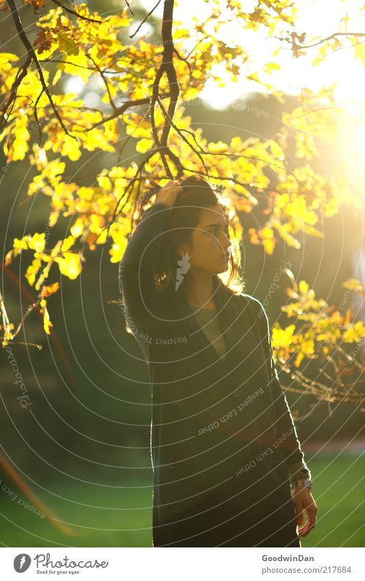 Der Sonne trotzen II Mensch feminin Junge Frau Jugendliche Umwelt Natur Park entdecken Erholung genießen schön Wärme Gefühle Stimmung frei Herbst Farbfoto