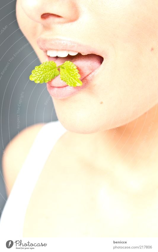 Freshness Frau Mensch Minze Mund Zunge Geschmackssinn Mundgeruch frisch Atem Essen Zahnpflege Zähne Reinigen gut Textfreiraum unten Haut Blatt Nase zart