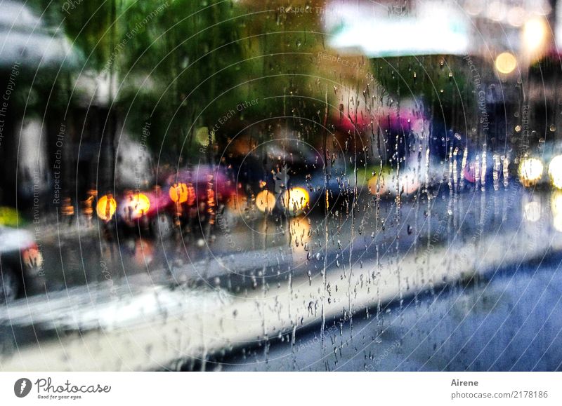 rush shower Wasser Wassertropfen Wetter schlechtes Wetter Unwetter Regen Stadt Verkehr Verkehrsmittel Verkehrswege Autofahren Straße Autoscheinwerfer Glas nass