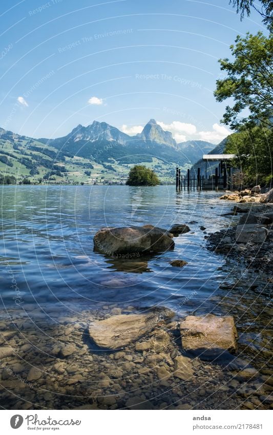 See mit Bergen im Hintergrund Walensee Schweiz Alpen Seeufer Ufer Horizont Wasser Steine Berge u. Gebirge Natur Landschaft Himmel blau Außenaufnahme Farbfoto