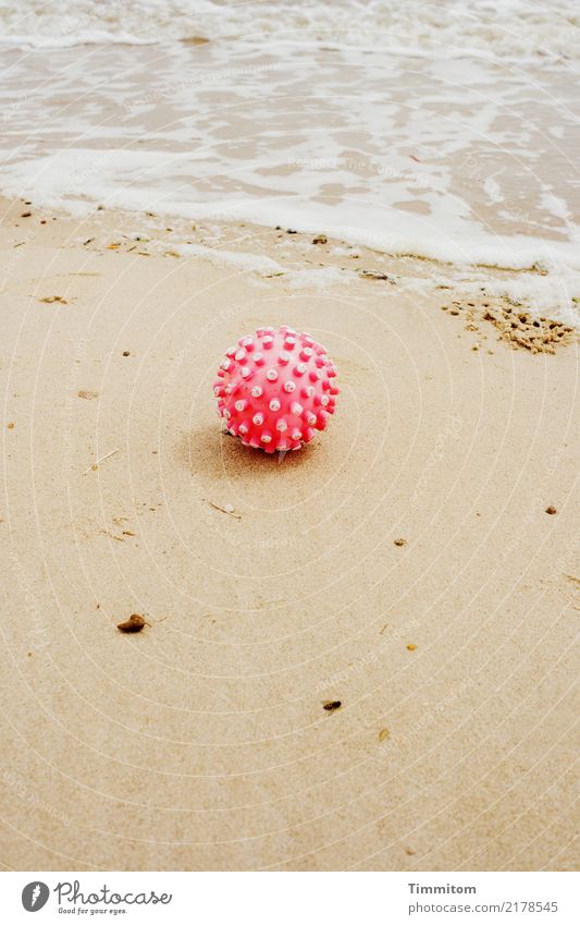 Und nun? Ferien & Urlaub & Reisen Umwelt Natur Sand Wasser Strand Nordsee Dänemark Ball Kunststoff liegen rot weiß Noppe beige Gischt Farbfoto Außenaufnahme