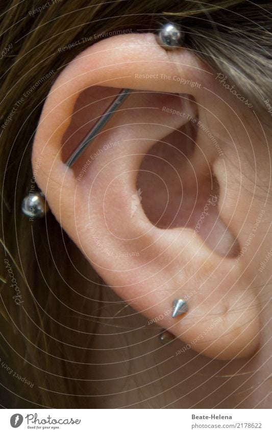 bin ganz Ohr ... Lifestyle Stil Mode Schmuck Piercing Ohrringe Sammlerstück Metall kalt silber selbstbewußt anstrengen Identität einzigartig Schmerz schön