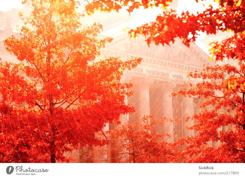 ...berlin autumn Kultur Natur Herbst Baum Berlin Bauwerk Gebäude Architektur Fassade Sehenswürdigkeit Wahrzeichen Deutscher Bundestag Wärme rot Politik & Staat