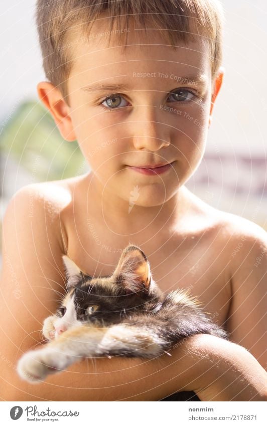 Ein Junge, der mit einem Kätzchen aufwirft Sommer Kind Freundschaft Kindheit Tier Wärme Pelzmantel Haustier Katze Liebe Zusammensein heiß klein niedlich