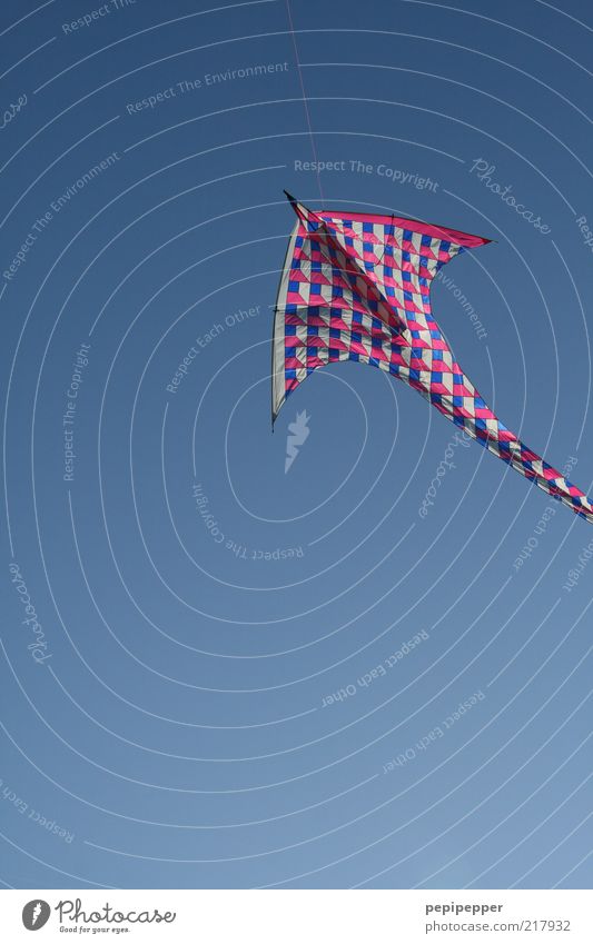 huiiiiii Freizeit & Hobby Luft Wolkenloser Himmel Sommer Wind Holz Kunststoff Bewegung fliegen ästhetisch frei positiv Geschwindigkeit blau mehrfarbig Freude