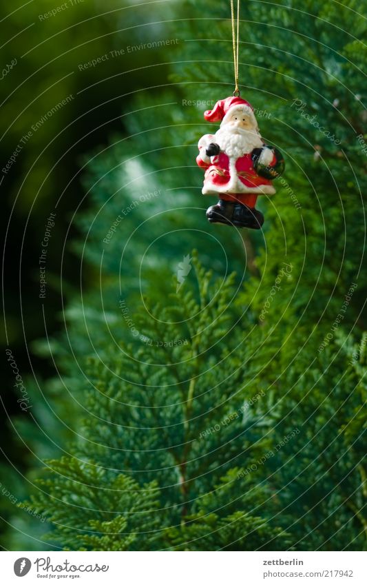 Weihnachtsmann Feste & Feiern Schmuck hängen Tradition Weihnachtsbaum Weihnachtsdekoration Konifere Weihnachtsfigur Baumschmuck Christentum Farbfoto