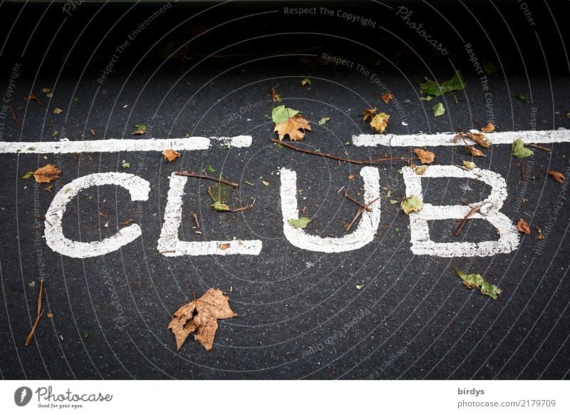 Clubbing Nachtleben Veranstaltung Disco ausgehen Feste & Feiern clubbing Herbstlaub Schriftzeichen Linie positiv gelb grau schwarz weiß Freude Zusammensein