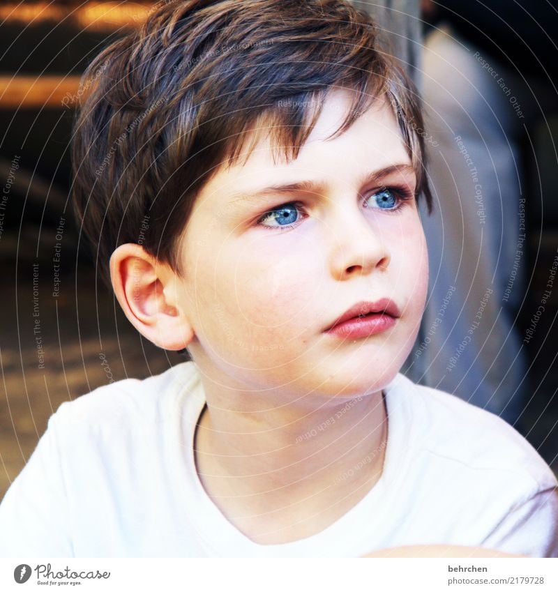 skeptiker Junge Familie & Verwandtschaft Kindheit Haut Kopf Haare & Frisuren Gesicht Auge Ohr Nase Mund Lippen 1 Mensch 3-8 Jahre beobachten träumen schön blau