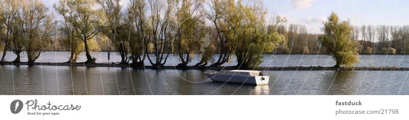 Rheinauen (Panorama) Wasserfahrzeug Baum Rheingau Deutschland herbst deutschland Fluss water tree autumn