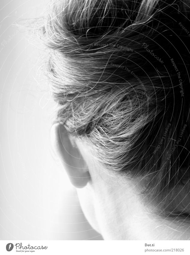 Frau mit Hochsteckfrisur Stil schön Haare & Frisuren Mensch feminin Erwachsene Kopf 1 18-30 Jahre Jugendliche brünett langhaarig Hochmut Stolz eitel ästhetisch