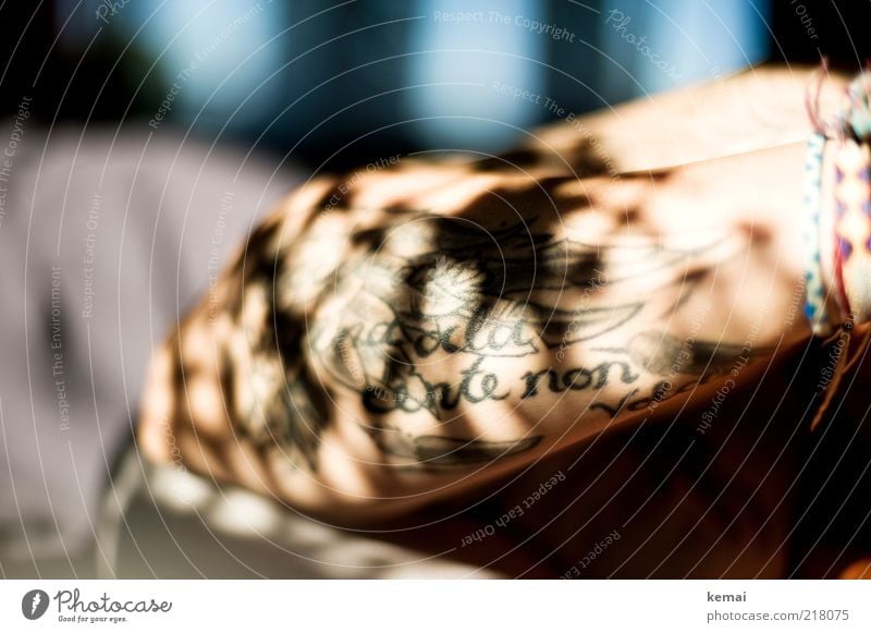 Schatten in die Haut tätowiert Stil feminin Frau Erwachsene Arme 1 Mensch Tattoo hell Schattenspiel Armband Unterarm Farbfoto Gedeckte Farben Innenaufnahme