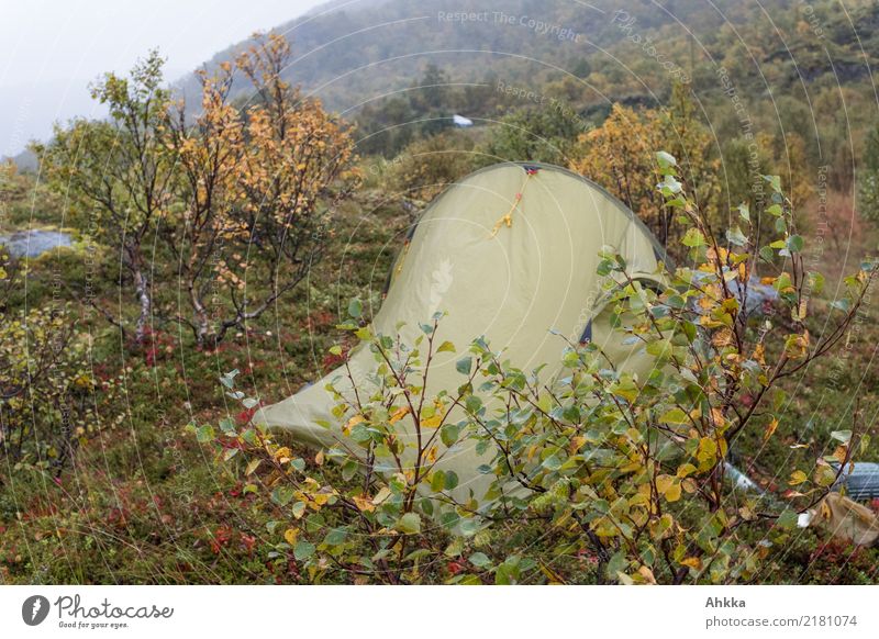 Zelt im herbstlichen Unwetter, Norwegen Abenteuer Camping Natur Herbst Klima schlechtes Wetter Sturm Regen nass wild Schutz Farbfoto Außenaufnahme Menschenleer