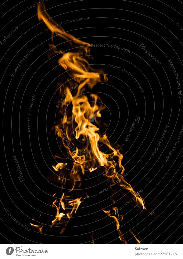 Flammen Feuer brennen schwarz verrotten heiß Hitze Farbfoto Lagerfeuer leuchten scheinen