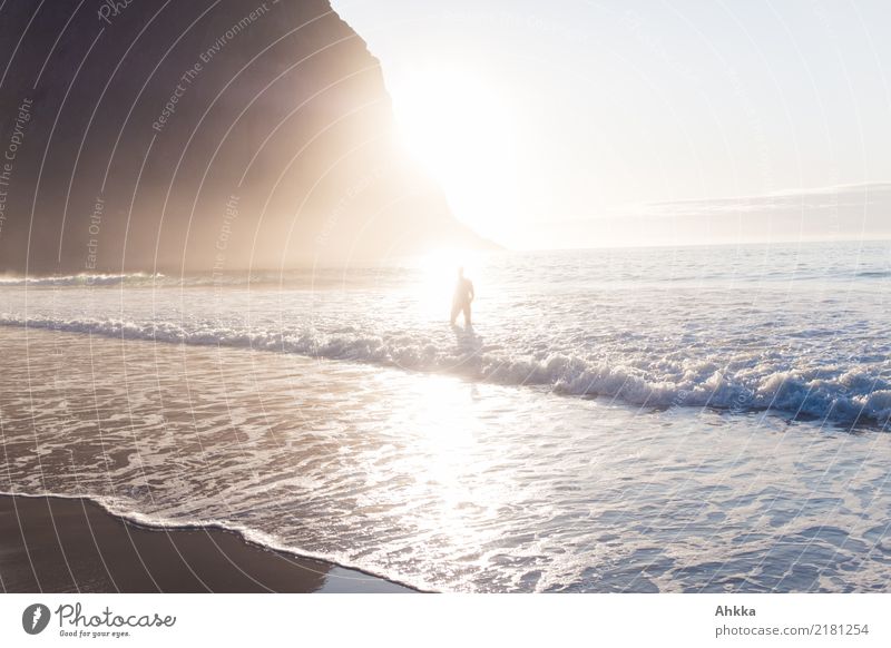 Mensch badet in Licht und im Meer Gegenlicht Warm und Kalt teilen Wellen Sonne göttlich verschwinden Schwimmen & Baden einzigartig Strand wild Küste