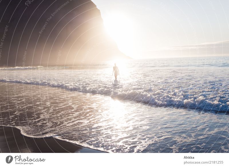 Mensch im (Licht)Meer harmonisch Sinnesorgane Erholung ruhig Sommerurlaub Sonne Sonnenbad Strand Wellen Junger Mann Jugendliche 1 Polarmeer Lofoten