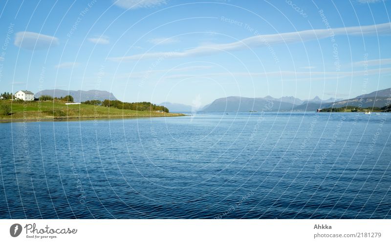 Sommerlandschaft in Norwegen, Fjord, blau harmonisch Zufriedenheit Sinnesorgane Erholung ruhig Meditation Ferien & Urlaub & Reisen Tourismus Ausflug Abenteuer