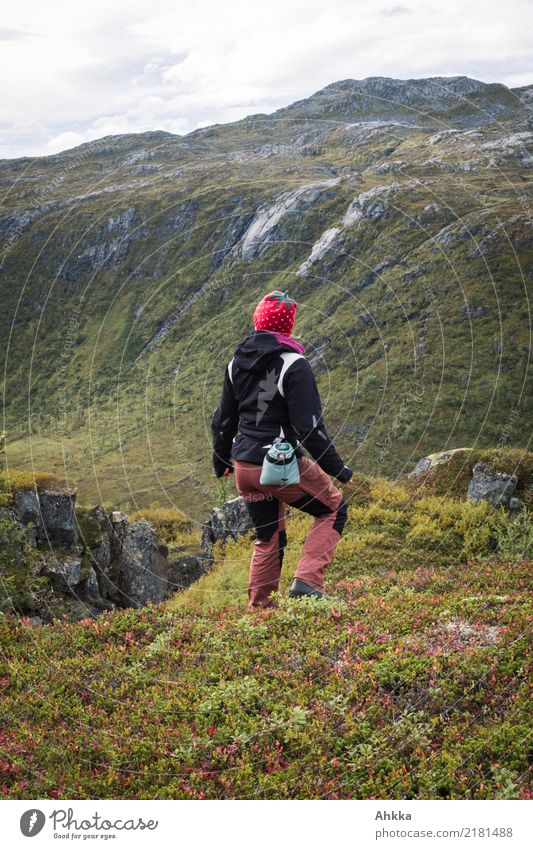 Junge Frau mit roter Mütze steht an einem Berghang wandern vorwärts erkunden entdecken Berge u. Gebirge steil beobachten Outdoor Skandinavien erdbeere grün