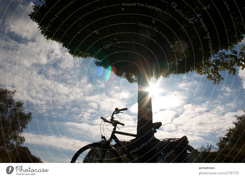 Lean your bike to a tree and enjoy the sunshine Fahrradtour Sonne Natur Himmel Wolken Schönes Wetter Baum Gelassenheit ästhetisch Erholung Pause Farbfoto