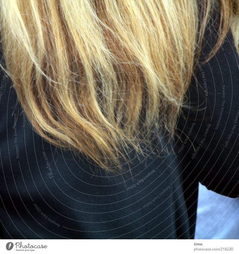 Mädchen-Foto Haare & Frisuren Frau Erwachsene Arme Mantel blond Bewegung dunkel lang Dynamik Textilien markant mehrfarbig Oberkörper Rückansicht Rücken