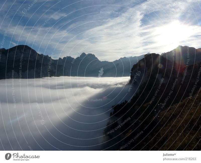 Über den Wolken ( Appenzeller Berge) Natur Landschaft Urelemente Luft Himmel Horizont Sonne Sonnenlicht Herbst Wetter Schönes Wetter Nebel Alpen