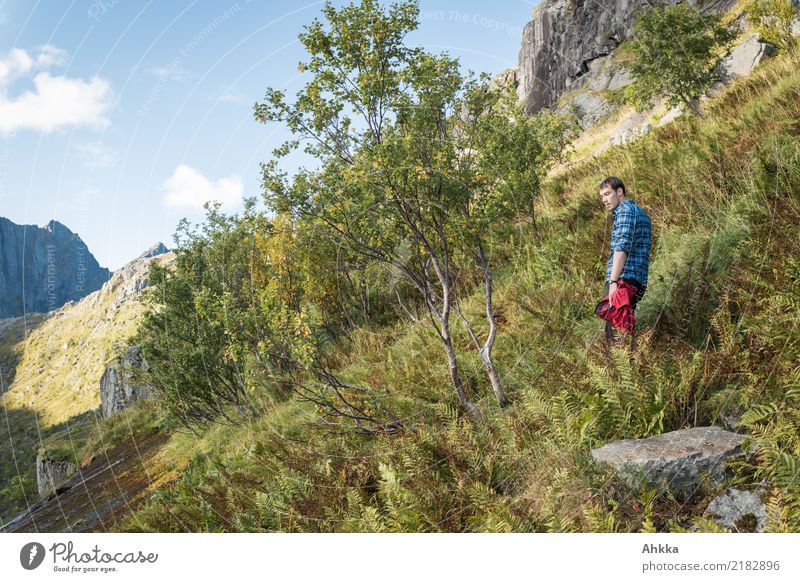 Farn, junger Mann, Wandern, Norwegen Leben harmonisch ruhig Ferien & Urlaub & Reisen Ausflug Abenteuer Freiheit Sommerurlaub Berge u. Gebirge wandern