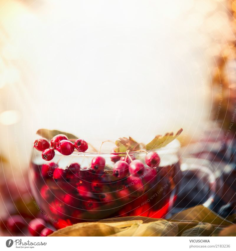 Tasse mit Herbsttee Lebensmittel Getränk Heißgetränk Tee Stil Design Gesundheit Alternativmedizin Gesunde Ernährung harmonisch Sinnesorgane Erholung Winter