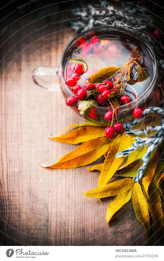 Tasse mit Herbst Tee und Weißdorn Getränk Heißgetränk Lifestyle Design Gesundheit Gesunde Ernährung Leben Häusliches Leben retro gelb Stil Hintergrundbild