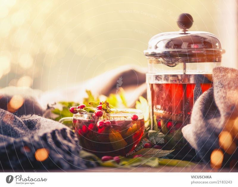 Herbst und Tee am Fenster Lebensmittel Getränk Heißgetränk Geschirr Tasse Lifestyle Stil Design Gesundheit Alternativmedizin Sommer Natur Schal retro gelb