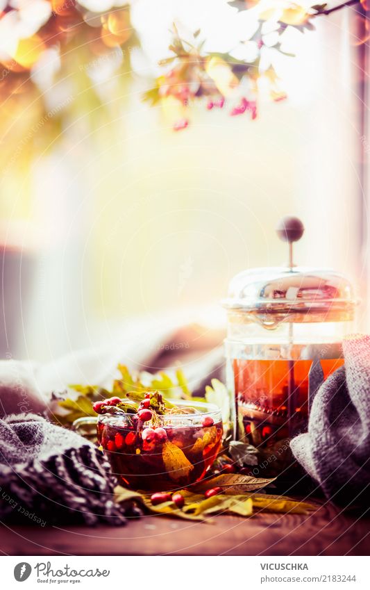 Herbst. Tee. Fenster Getränk Heißgetränk Geschirr Tasse Lifestyle Stil Design Gesunde Ernährung Leben Häusliches Leben Wohnung Tisch Natur Wärme Schal gelb