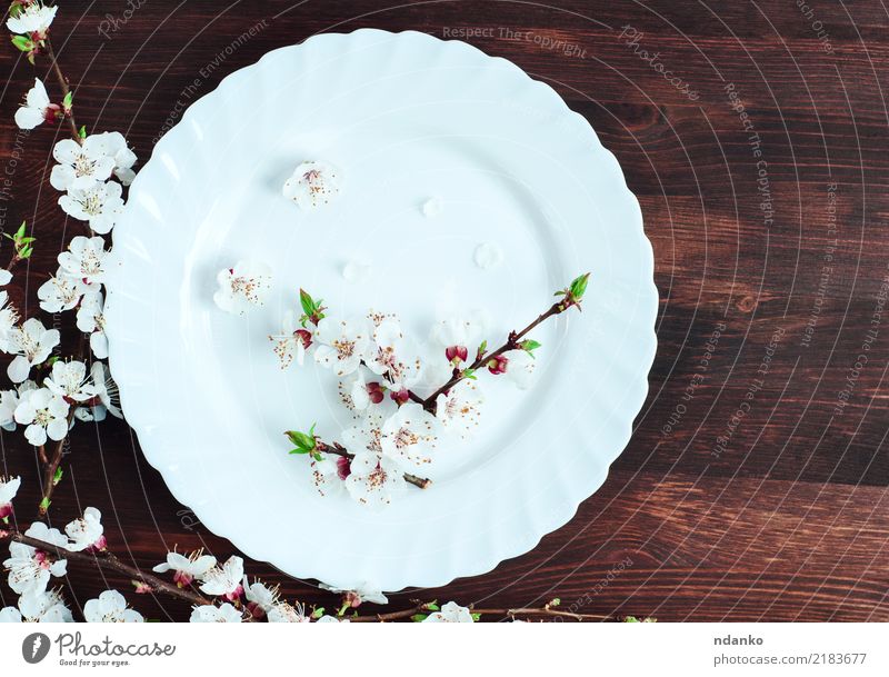 leere runde weiße Platte Mittagessen Abendessen Diät Teller Tisch Küche Restaurant Blume Holz Blühend dunkel Sauberkeit braun schwarz Hintergrund Speise