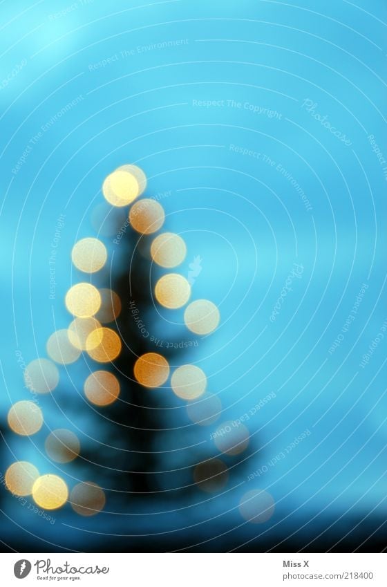 X-Mas Dots Winter Baum leuchten glänzend Weihnachtsbaum Beleuchtung Licht Lichterkette Weihnachtsdekoration Tanne Farbfoto mehrfarbig Außenaufnahme Muster